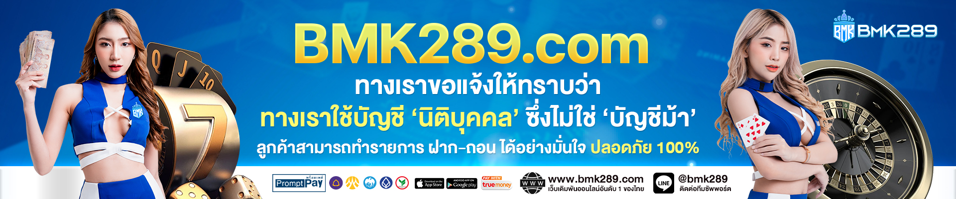 bmk289q